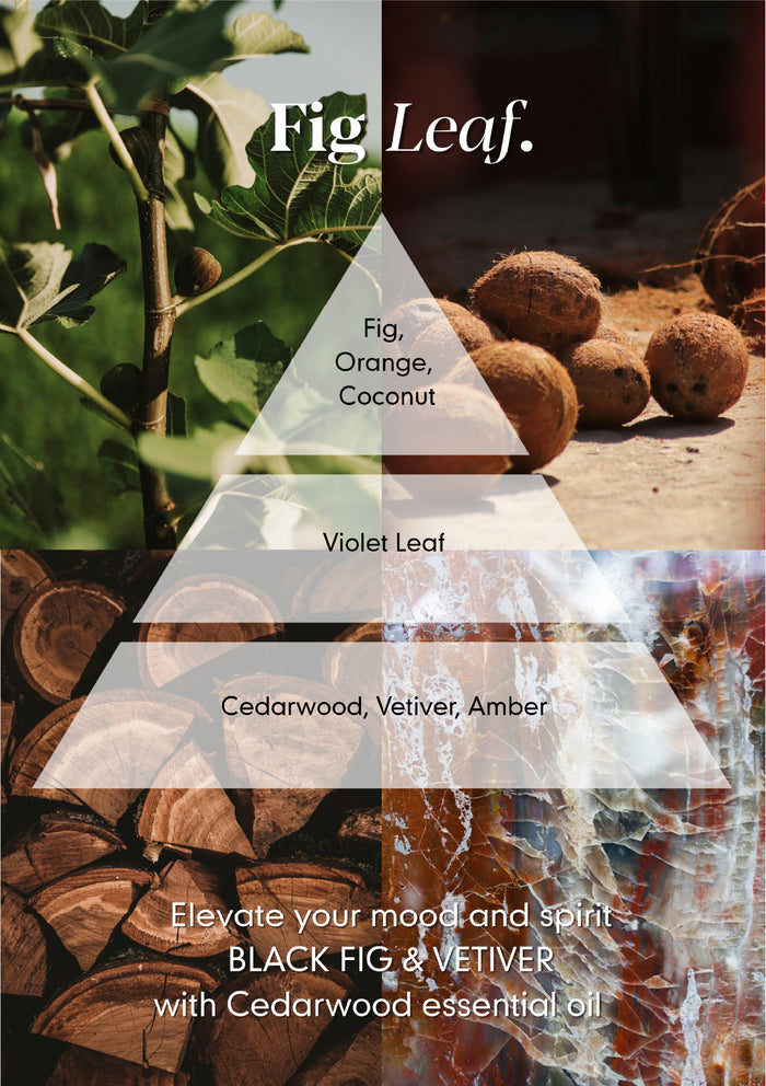 Fig Leaf Reed Diffuser