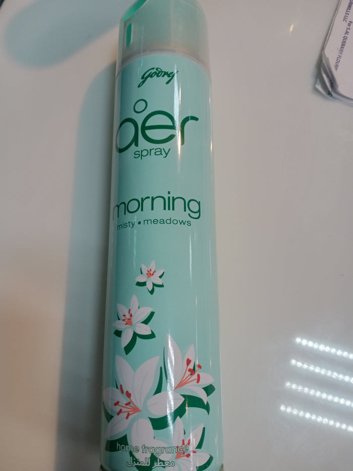 Godrej Aer Spray 300ml