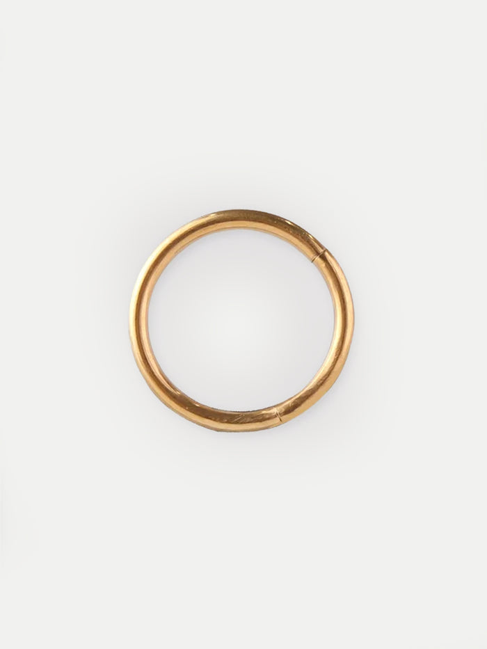 Titanium Plated Hinged Ring 16G | Gold-Image 3
