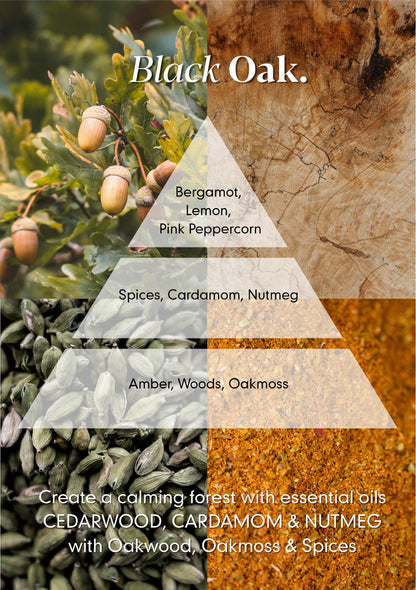 Black Oak Amber Diffuser Refill