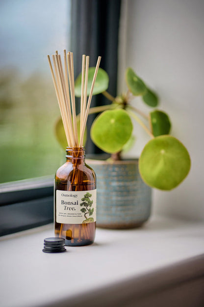 Bonsai Tree Amber Diffuser Refill
