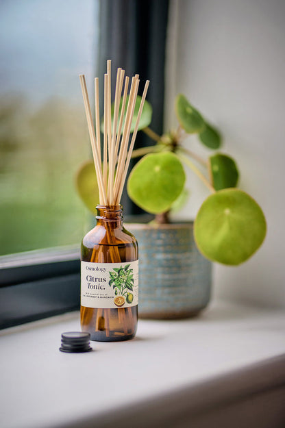 Citrus Tonic Amber Diffuser Refill