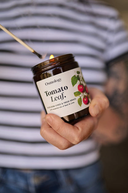 Tomato Leaf Scented Jar Candle